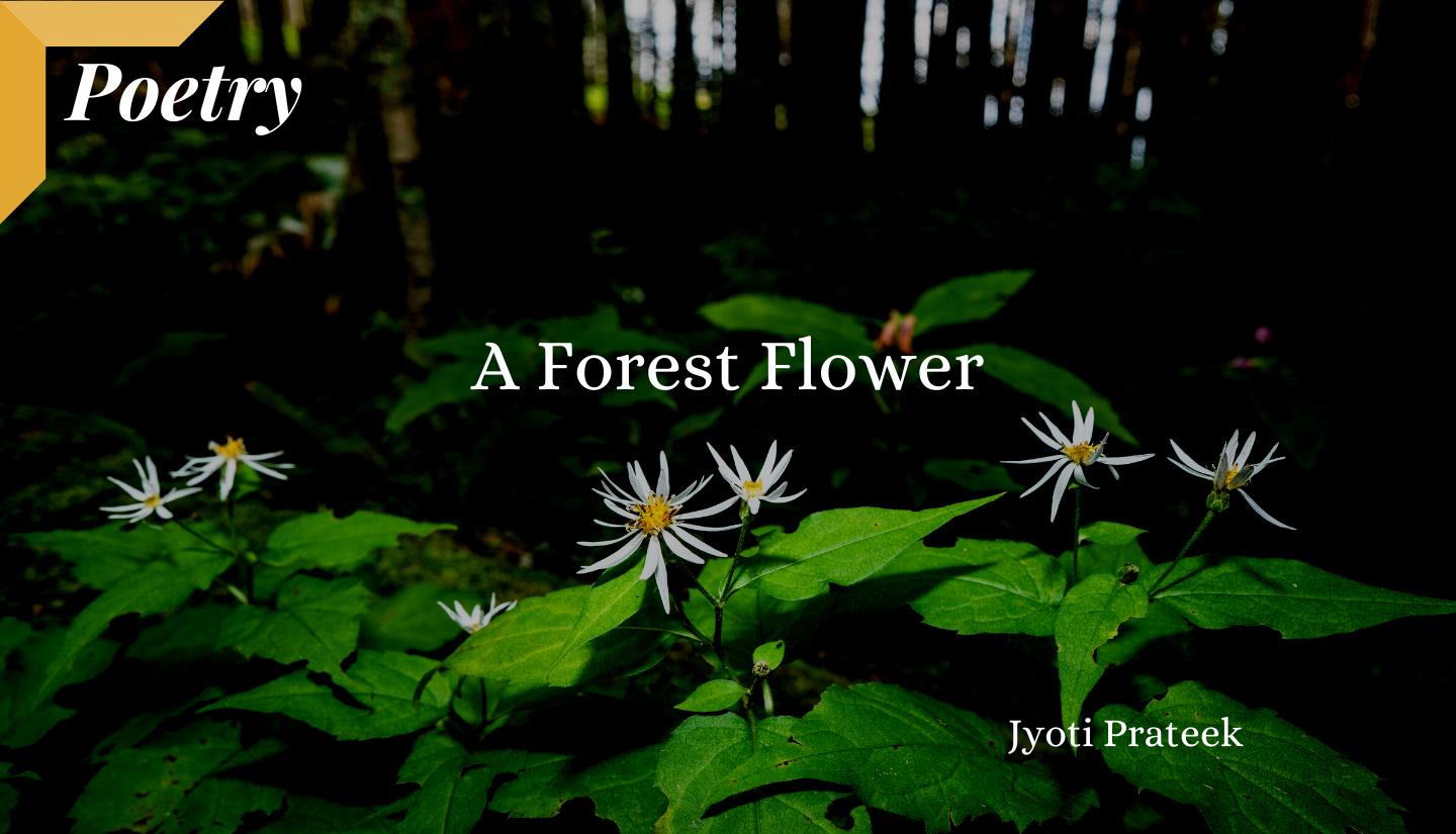 A Forest Flower